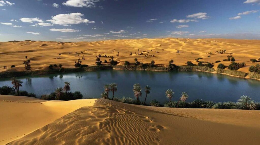 The Bahariya Oasis in Egypt