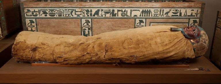 O Museu da Mumificação em Luxor