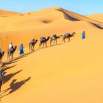 16 Days Egypt Tour with Nile Cruise Pyramids and White Desert Safari