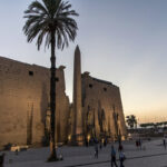 8 Day Cairo, Alexandria and Nile Cruise Tour Package by Flight