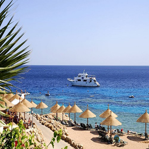 5 Days Cairo & Sharm El Sheikh Honeymoon Tour