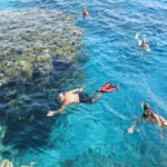 1656566872 46 priroda club p krasnoe more snorkling priroda krasivo fot 50Snorkeling Trip Excursion from Safaga Port