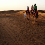 Bedouin Safari and Star Gazing Tour