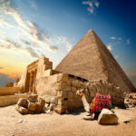 Egypt Desert Camels 508895Pyramids 2