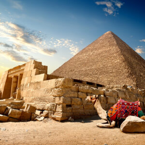 Egypt Desert Camels 508895Pyramids 4