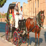 Luxor Horse Carriage Trip Trips In Egypt99Horse Carriageluxor