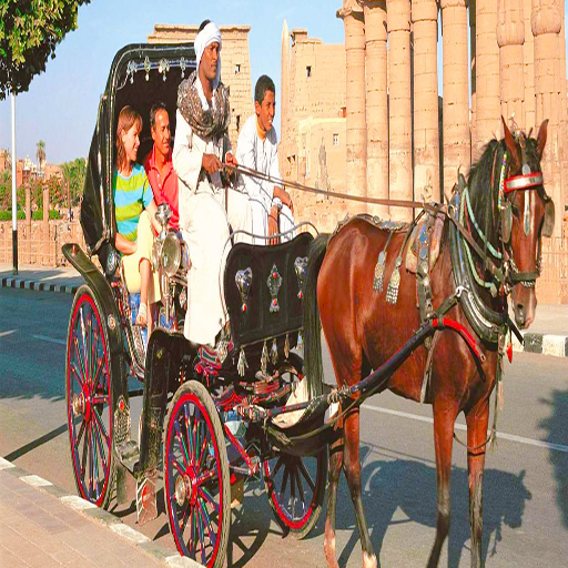 Luxor Horse Carriage Trip Trips In Egypt99Horse