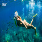 Mahmya Island Snorkeling Trip From Hurghada Tours From Hurghada 1