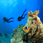 SUNRISE Marina Resort Port Scuba diving Marsa Alam 1