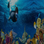 mahmya island snorkeling trip banner 1