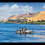 maxresdefaultBird Watching Tour in Aswan