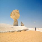 white desert mushroomOne night White Desert Egypt tour